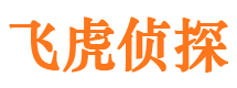 鹤峰市侦探公司